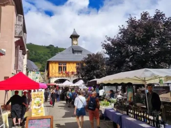 515493276_24404323815843103_3977857570267729723_n