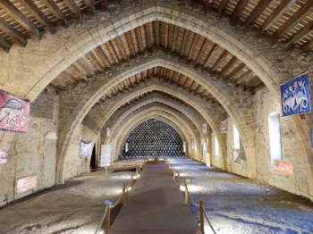 524626713_24446346538307497_514832752059788092_n