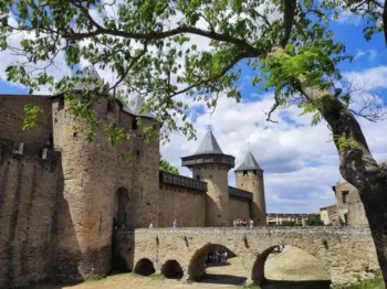 524696733_24437725685836249_5848914284764394554_n