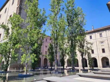 528205956_24502915942650556_4243938270214273609_n