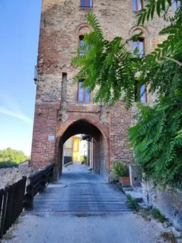 528279985_24494241506851333_7704918857551493503_n