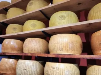 528519071_24502902409318576_57789681594576580_n