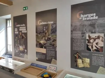 530622361_24565249356417214_7151068844596252991_n