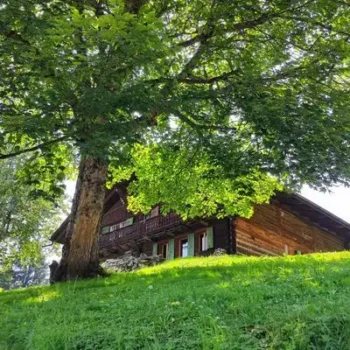 532245086_24565219963086820_7639897806666052698_n