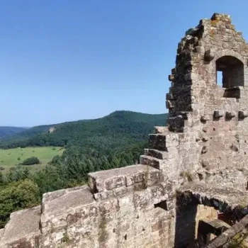 532350314_24588806560728160_9214602533662890422_n