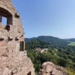 533027309_24588806074061542_8048591108944570103_n