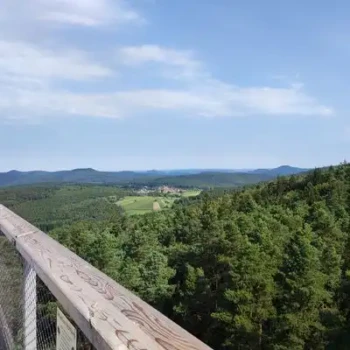 533191800_24597277653214384_5812403533178488650_n