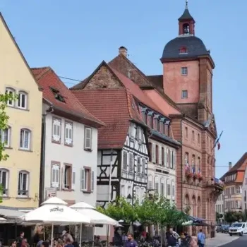 533969866_24598157346459748_5467000099523892559_n