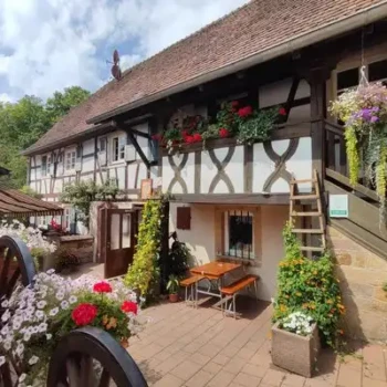 534370190_24597318199876996_3406653724874273742_n