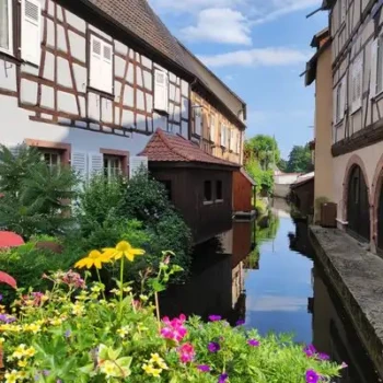 534413309_24598158683126281_3834873297098069642_n