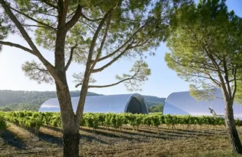 Chateau La Coste - Cuverie 4Richard Haughton