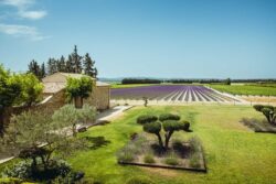 Douceur et gourmandise à La Maison Chenet Entre Vigne et Garrigue
