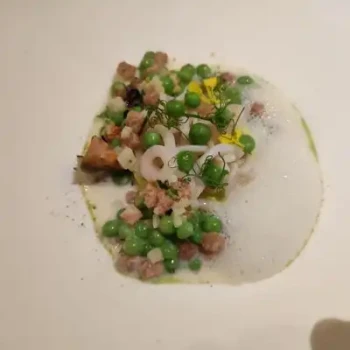 plat tourrel - Copie